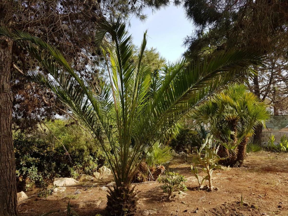 Villa Mina Carovigno Dış mekan fotoğraf