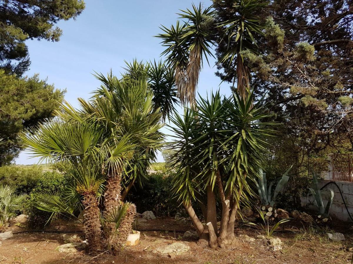 Villa Mina Carovigno Dış mekan fotoğraf